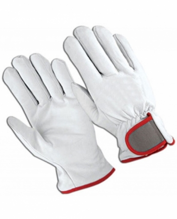 Driving Gloves